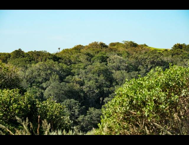 1,183M² VACANT LAND FOR SALE IN FERNWOOD ESTATE